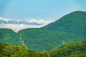 Dense green forest in the valley and on the slopes of the mountain. Power lines in the forest. Snow capped mountains visible on the horizon