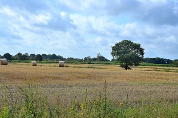 Norddeutschland 2019