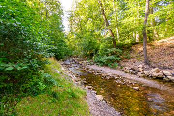 Harz, Nationalpark, Wälder und Berge in Sachsen Anhalt