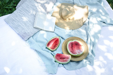 a white blanket on the green grass. The concept of a picnic.