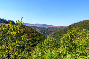 Harz, Nationalpark, Wälder und Berge in Sachsen Anhalt