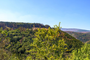 Harz, Nationalpark, Wälder und Berge in Sachsen Anhalt