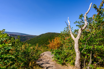 Harz, Nationalpark, Wälder und Berge in Sachsen Anhalt