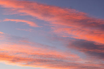 Naklejka na ściany i meble Orange clouds on a blue sky in the morning.