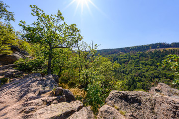 Harz, Nationalpark, W&auml;lder und Berge in Sachsen Anhalt