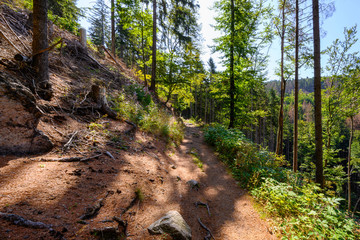 Harz, Nationalpark, Wälder und Berge in Sachsen Anhalt