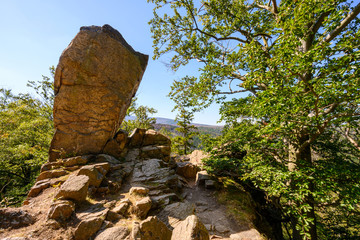 Paternosterklippe im Harz, Nationalpark