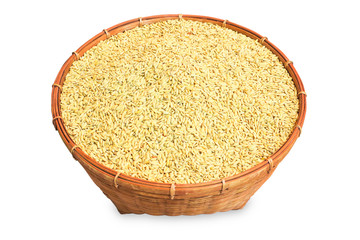 Paddy rice in basket isolate on white background