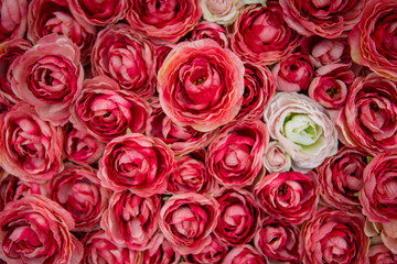 bouquet of red roses