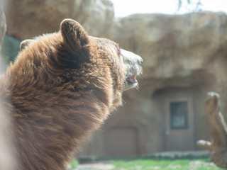 Cute animals at the zoo