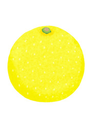 グレープフルーツ　eggplant