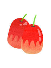 なつめ　ナツメ　Jujube