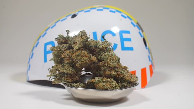 weed buds in a plate opposite the police