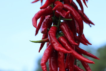 PEPERONCINI CALABRESI