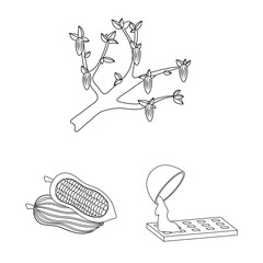 Isolated object of cocoa and beans logo. Set of cocoa and sweetness stock symbol for web.
