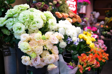 店頭の薔薇