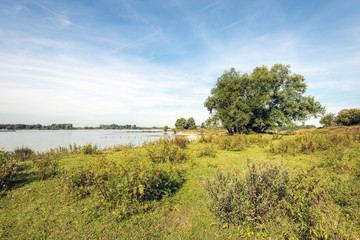 On the banks of the Dutch river Waal