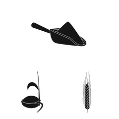 Vector illustration of rye and plant logo. Collection of rye and corn vector icon for stock.