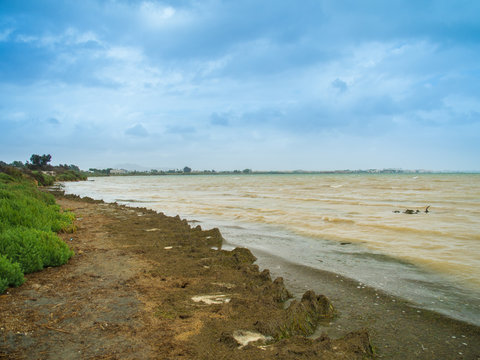 Pollution On The Mar Menor Beach Near The Mouth