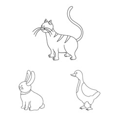 Vector design of homemade and countryside symbol. Collection of homemade and agriculture stock vector illustration.