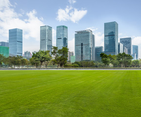 Fototapeta na wymiar The grass and the city in Shenzhen, China.