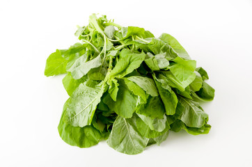 アマランサスの葉（葉野菜）