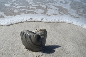 herzlicher Urlaub am Strand