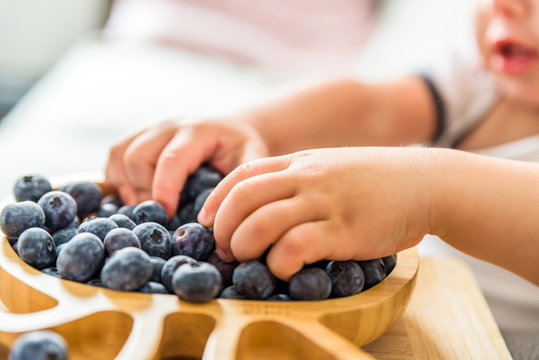 Baby Boy Hands Touch And Take Raw Fresh Blueberries Indoor. Baby Exploring Fruit