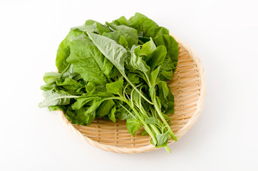 アマランサスの葉（葉野菜）