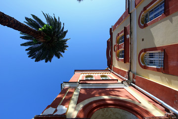 high palm tree on the background of a beautiful building and blue sky