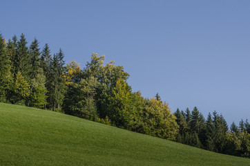 baeume wiese und himmel