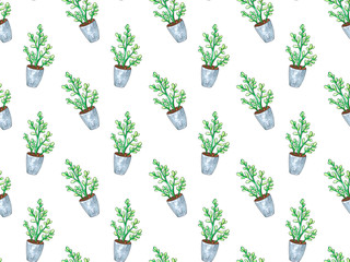 Seamless pattern with plant in a pot. Watercolor illustration. Isolated objects. Green, brown.