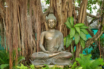Thai bronze Buddha statue, sitting under a tree with many roots and green leaves