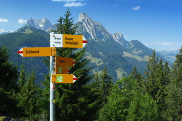 Clear Swiss mountain path signs near a walking path. The location of this sign post is Gruebli. 