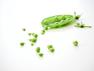 green pea pod on white background