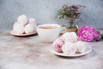 Homemade Apple cider marshmallows for tea rests on the plate. Airy dessert of apples and berry puree.