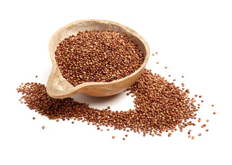 Sorgo seed (Sorghum Moench) on white background