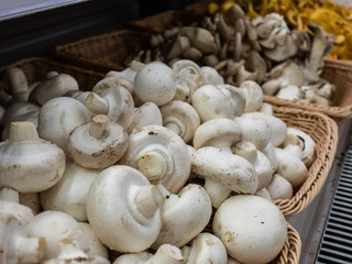 Mushroom champignon on market. mushrooms at the farmers market.
