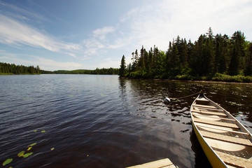 Naklejka premium Nature du parc national de la Mauricie au Québec