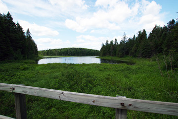 Fototapeta na wymiar Nature du parc national de la Mauricie au Québec