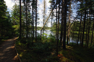 Nature du parc national de la Mauricie au Québec