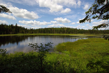 Nature du parc national de la Mauricie au Québec