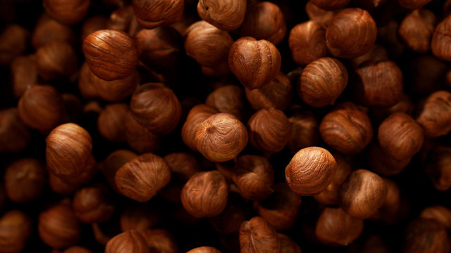 Hazelnuts in freeze motion