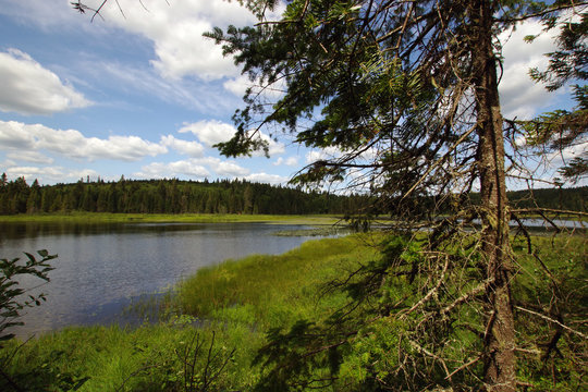Nature du parc national de la Mauricie au Qu&eacute;bec