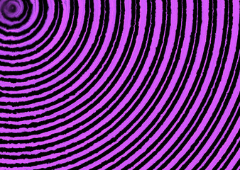 swirl spiral rings decor