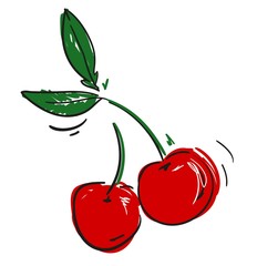 sketch cherry isolated on a white background. Design element. Vector