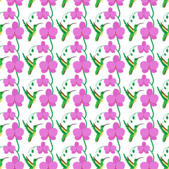 Pattern bird hummingbird flowers and orchid buds. Background for decoration flower shops.