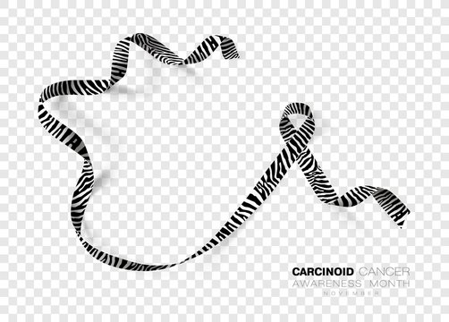 Carcinoid Cancer Awareness Month. Zebra Stripe Color Ribbon Isolated On Transparent Background. Vector Design Template For Poster.