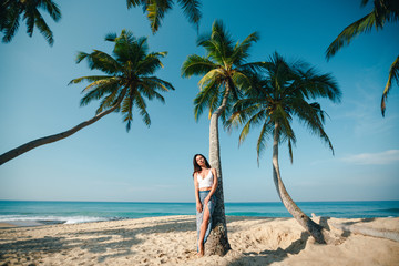 Young woman i sitting on palm trees. Young brunette lady relaxing on the tropical beach