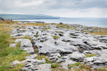 Fototapeta na wymiar The Burren Limestone Pavement, Co Clare, Ireland